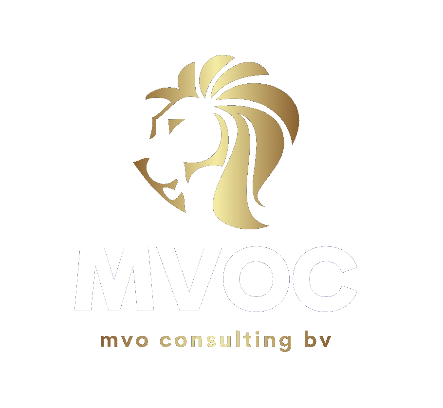 MVO Consulting Group